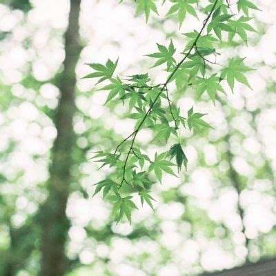 6686体育下载手机版